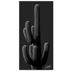 Charcoal Cactus Print