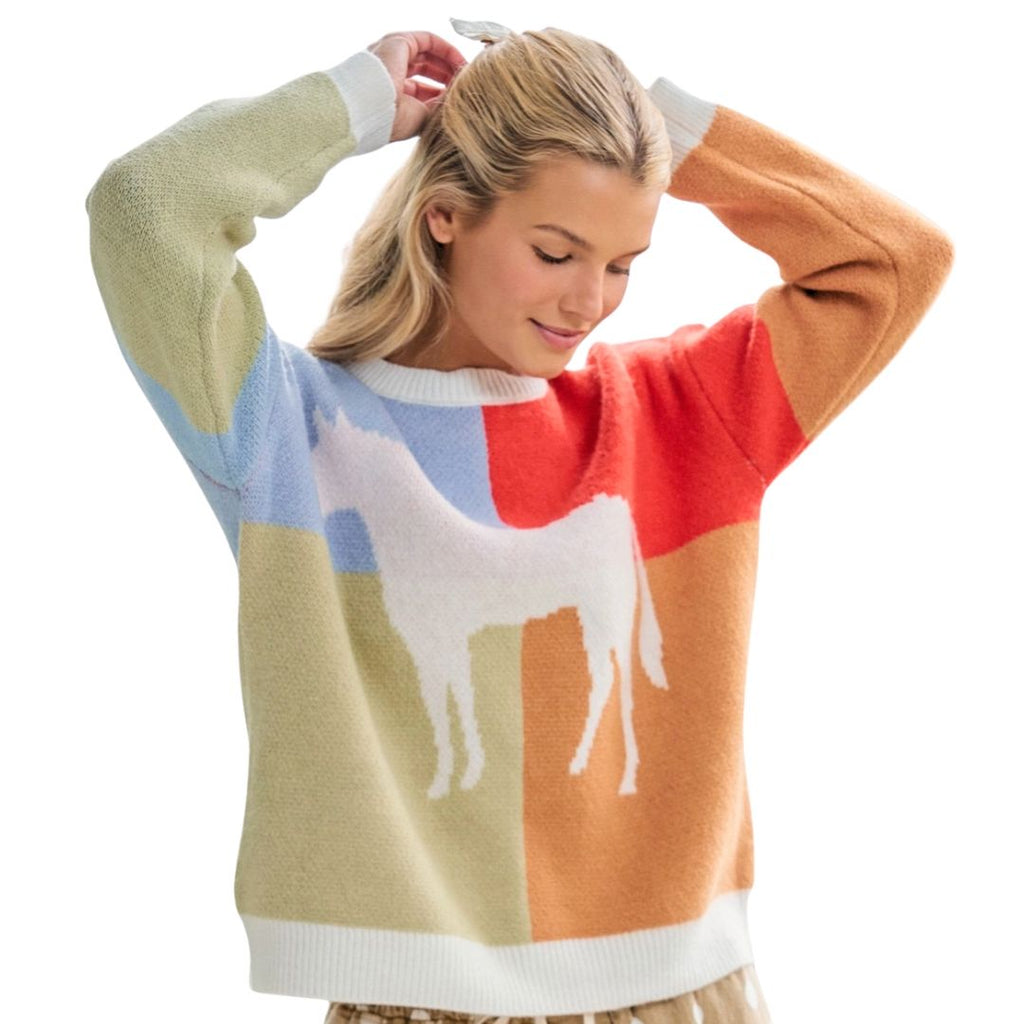 Color Block Horse Sweater