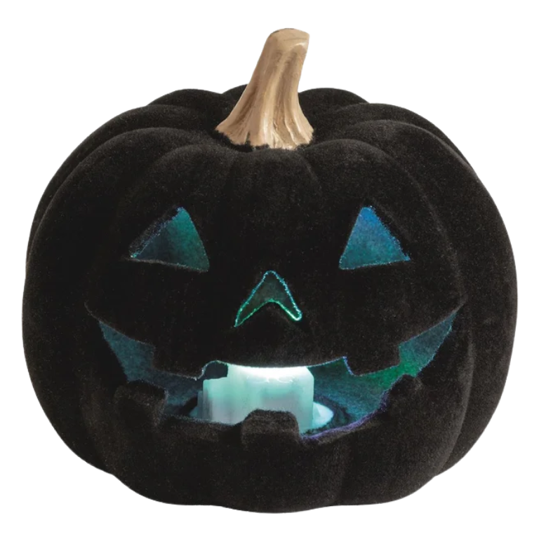 A black velvet jack-o'-lantern pumpkin with a carved face and a glowing teal light inside, shown on a plain white background.