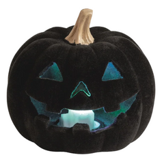 A black velvet jack-o'-lantern pumpkin with a carved face and a glowing teal light inside, shown on a plain white background.