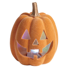 A small jack-o'-lantern pumpkin decoration with a fuzzy orange surface, carved facial features, and a lit interior glow, isolated on a white background.