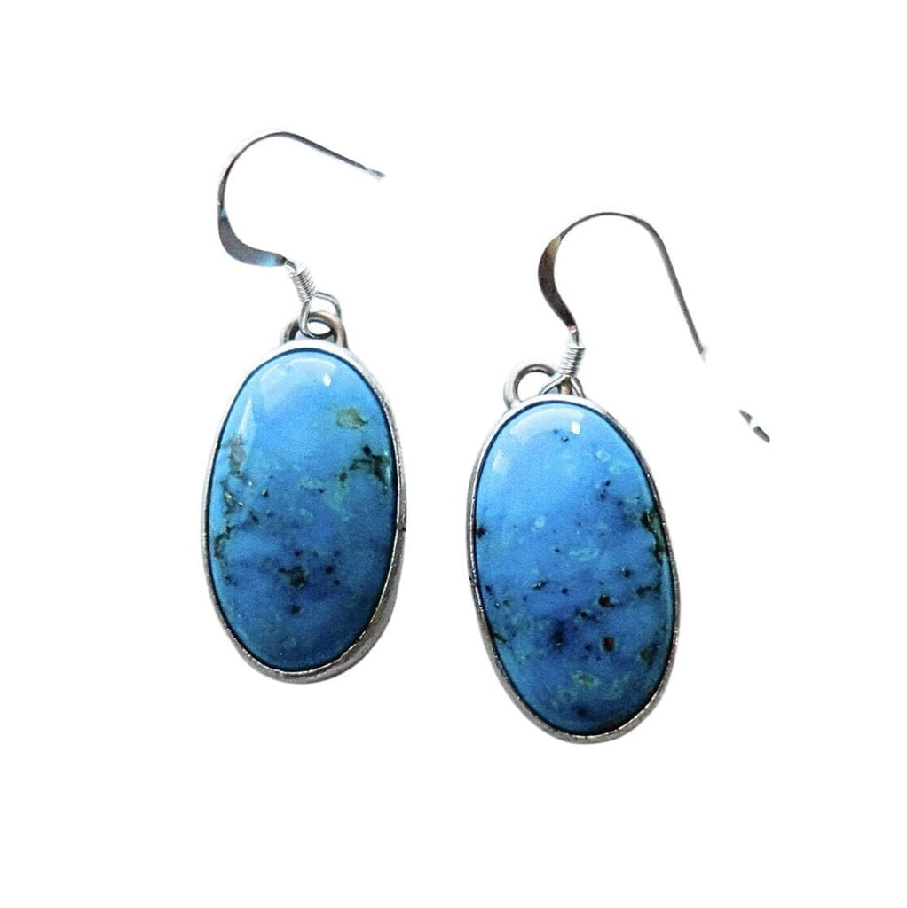 A pair of oval drop earrings featuring vibrant blue turquoise stones in silver bezel settings with silver fishhook ear wires, shown against a plain white background by Navajo Silversmith Jason Livingston