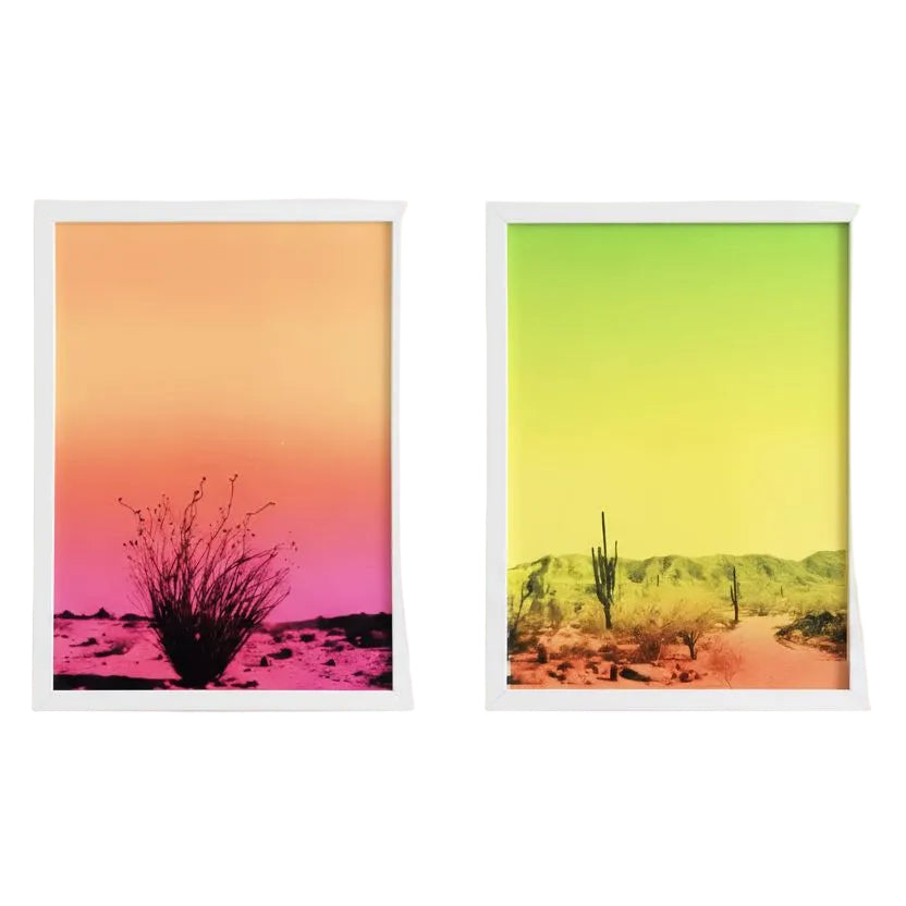 Framed Fluorescent Cactus Prints