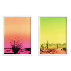 Framed Fluorescent Cactus Prints