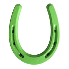 Lucky Colorful Horseshoe