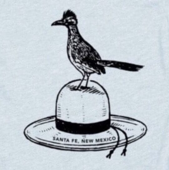 Kids Roadrunner T-Shirt in Ice Blue
