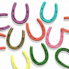 Lucky Colorful Horseshoe