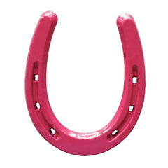 Lucky Colorful Horseshoe