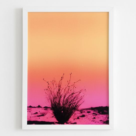 Framed Fluorescent Cactus Prints