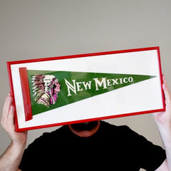Retro New Mexico Pennant Framed