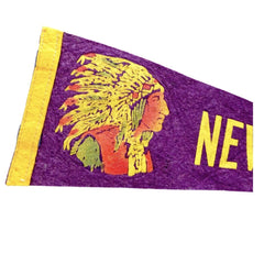 Vintage New Mexico Pennant Framed