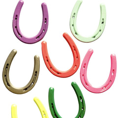 Lucky Colorful Horseshoe