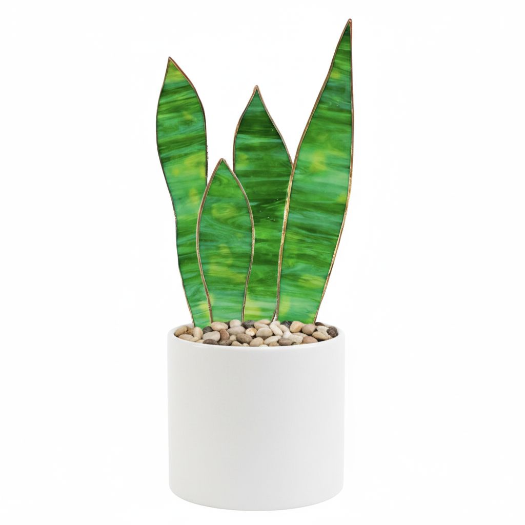 Stained Glass Snake Plant