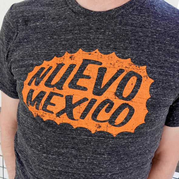 New Mexico Triblend T-Shirt