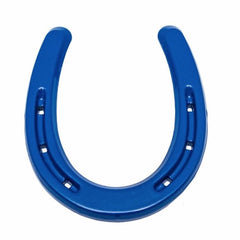 Lucky Blue Horseshoe Western Decor